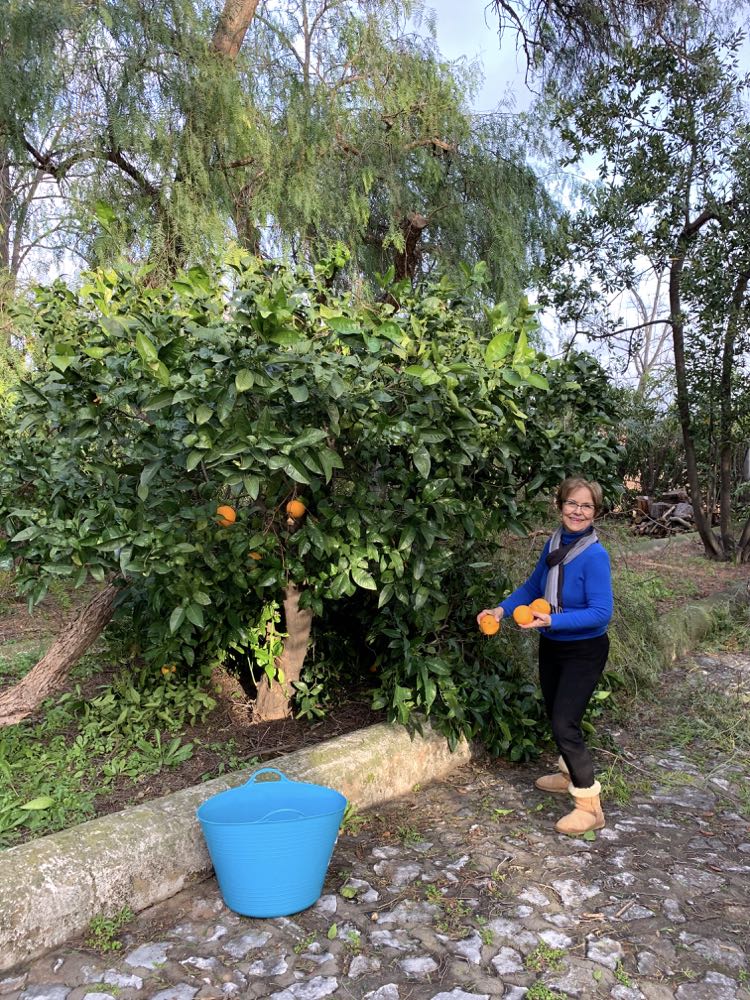 Oranges in Taroncheral, Mama Ía blog