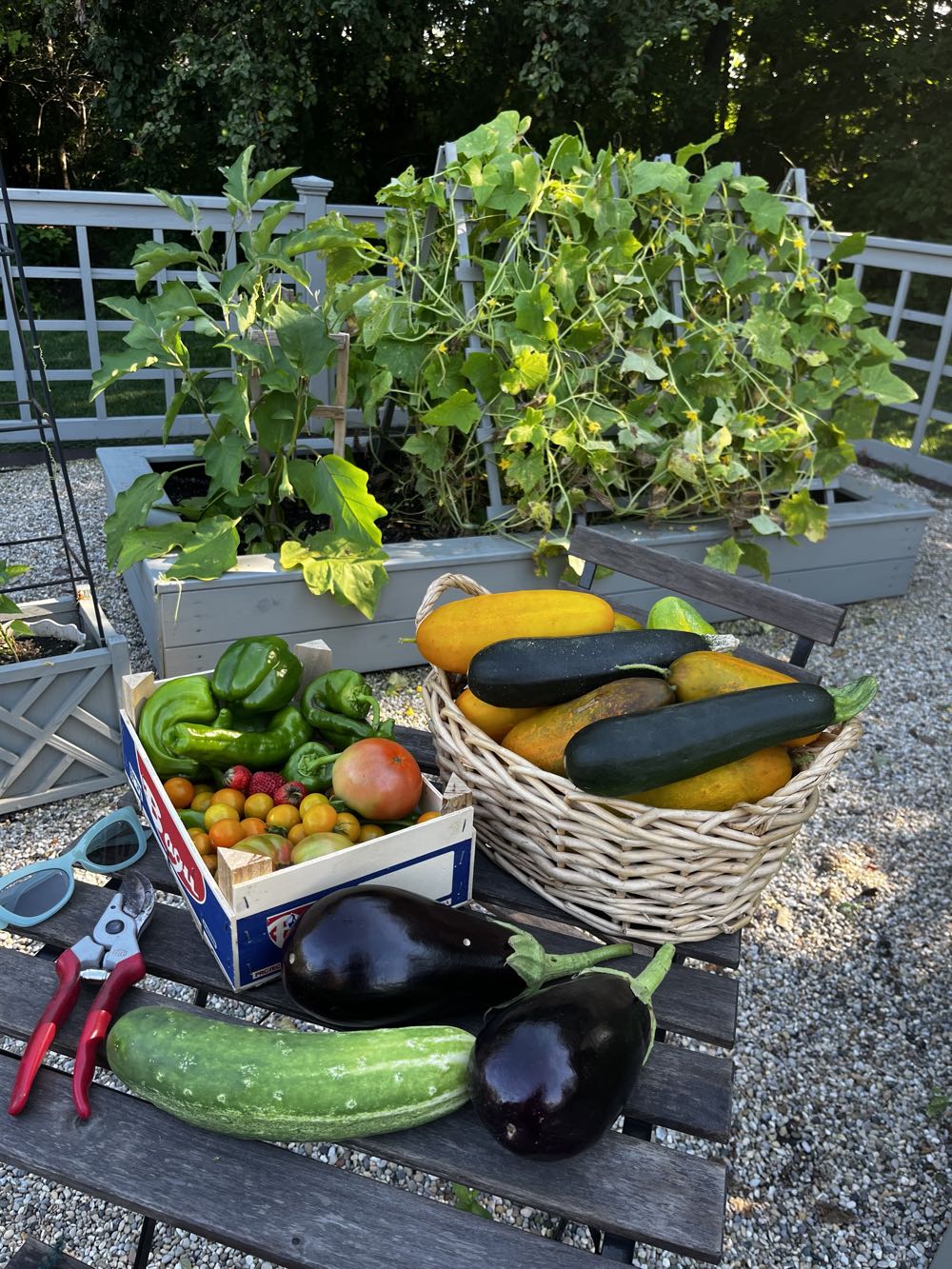 Vegetables, Mama Ía blog